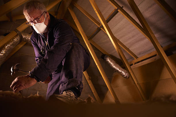 Best Energy Efficiency Insulation in Belton, TX