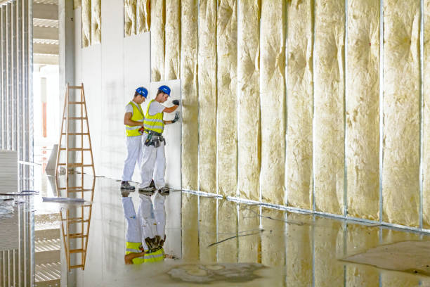Best Specialized Insulation Services in Belton, TX